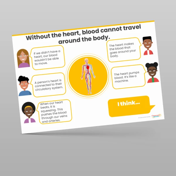 An image of the Animals including Humans Concept Cartoons Resource