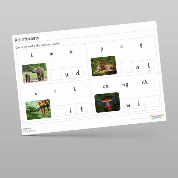 An image of the Amazing World - Rainforests Literacy Activities Resource