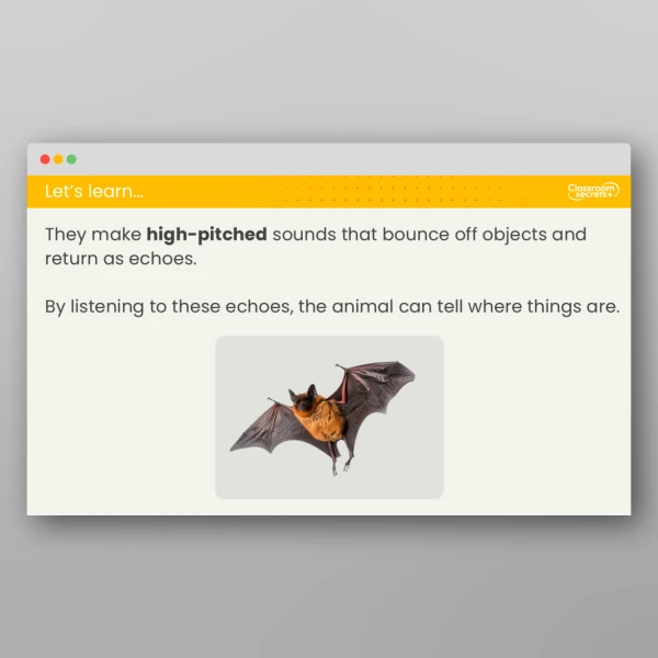 An image of the Lesson 6: Which Material Makes the Best Sound Insulator? Investigation Resource