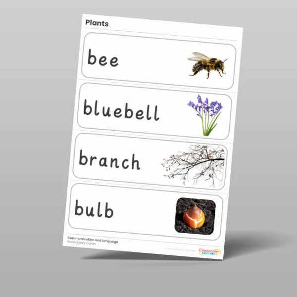 An image of the Plants Vocabulary Cards Resource