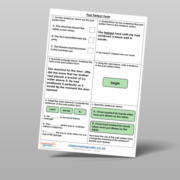 Year 5 Past Perfect Form Mixed Activity Resource | Classroom Secrets