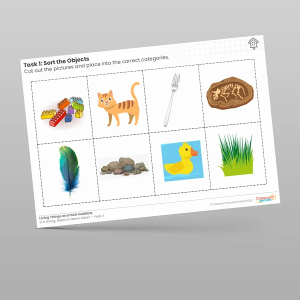 An image of the Free Lesson 1: Sort the Objects Worksheet Resource