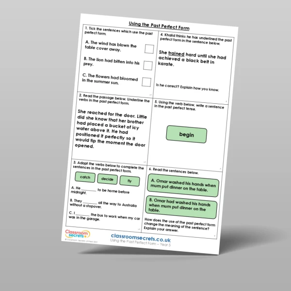 An image of the Using the Past Perfect Form Mixed Activity Resource