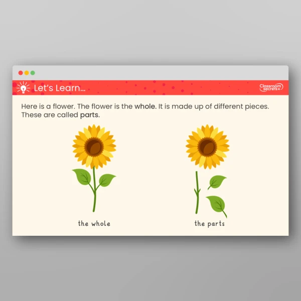 An image of the Introduction to Parts and Whole Teaching PPT Resource
