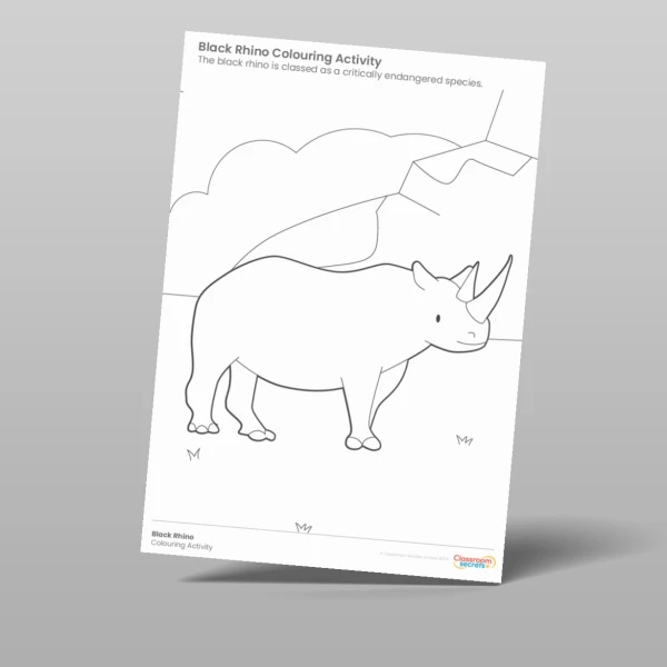 An image of the Black Rhino Colouring Activity Resource