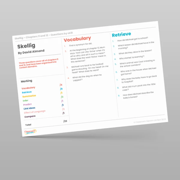 An image of the Reading Skills - Skellig - Chapters 11 & 12 Resource