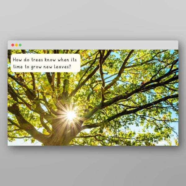 An image of the Spring I Wonder Discussion Prompts Resource