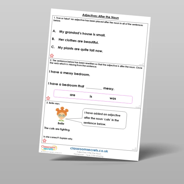 An image of the Adjectives After the Noun Homework Resource