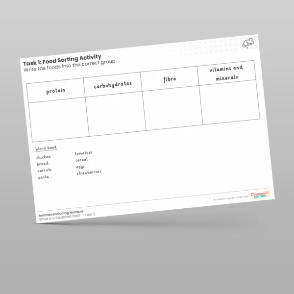 An image of the Lesson 5: Food Sorting Activity Worksheet Resource