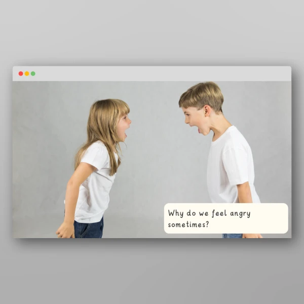 An image of the Feelings and Emotions I Wonder Discussion Prompts Resource