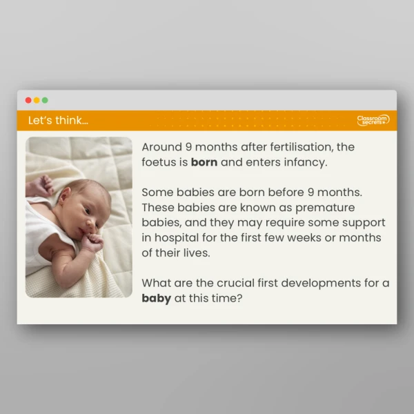 An image of the Lesson 2: How Do Babies Develop? Resource