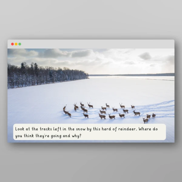 An image of the Amazing World - Polar Regions Introductory PPT Resource