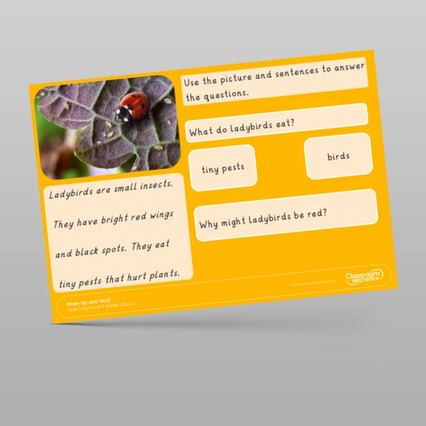 An image of the Summer 1 Week 1 Wake Up and Work Resource