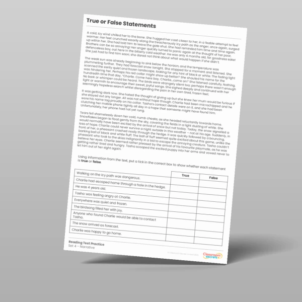 An image of the True or False Statements Reading Test Practice Resource
