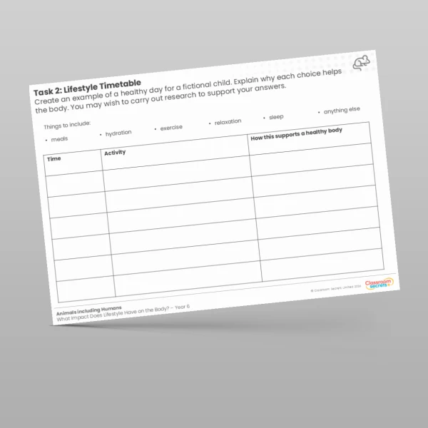 An image of the Lesson 4: Lifestyle Timetable Worksheet Resource