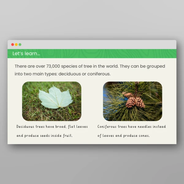 An image of the Forests in the United Kingdom Geography PPT Resource