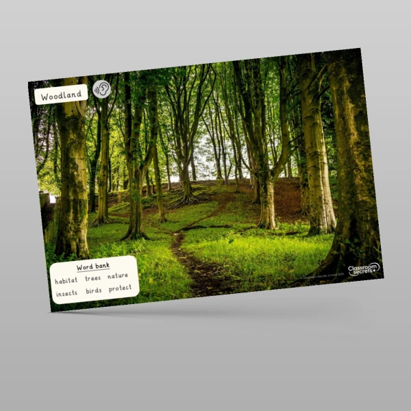 An image of the Sustainability Exploring Different Environments PPT Resource