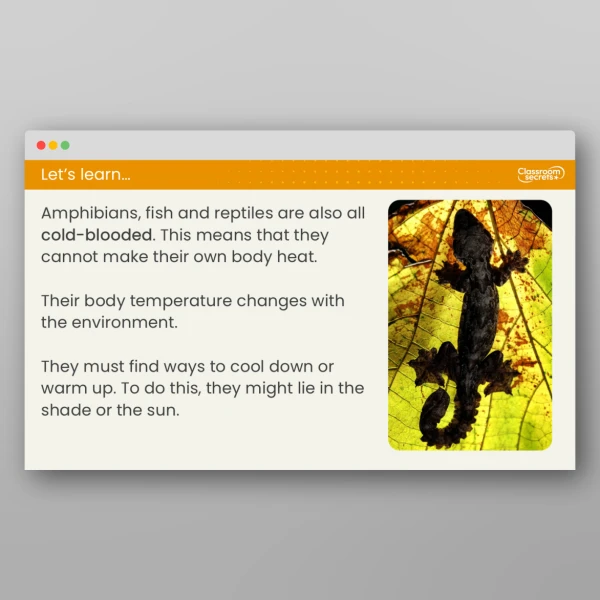 An image of the Lesson 1: What are Amphibians, Reptiles and Fish? Resource