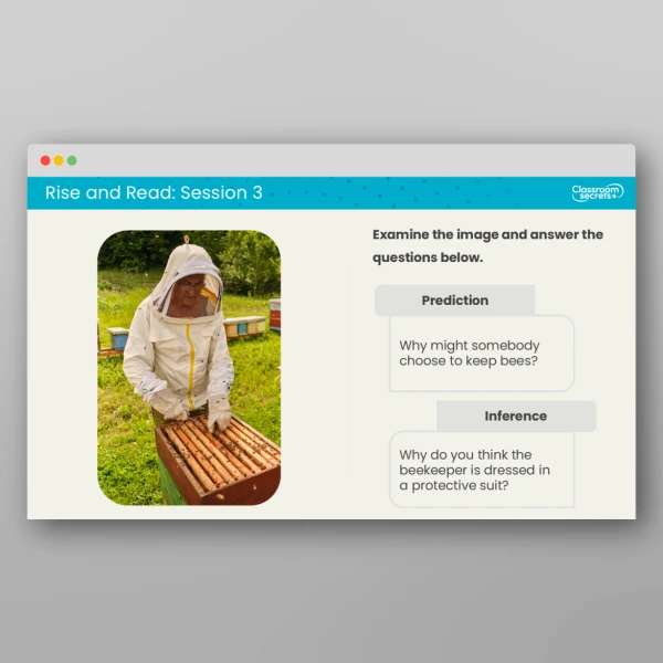 An image of the Rise and Read Bees Resource