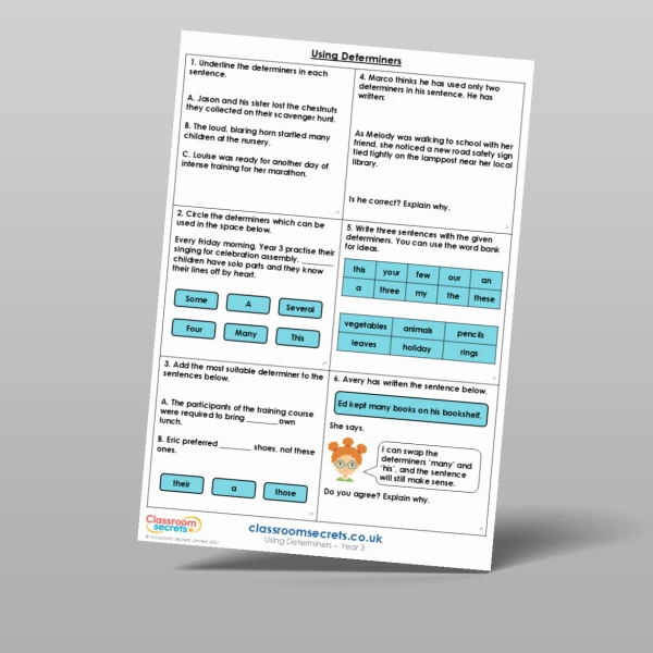 An image of the Using Determiners Mixed Activity Resource