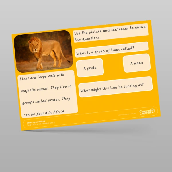 An image of the Summer 1 Week 3 Wake Up and Work Resource