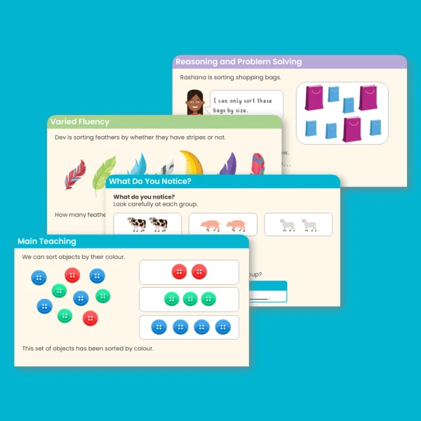Year 1 Sort Objects Teaching PowerPoint