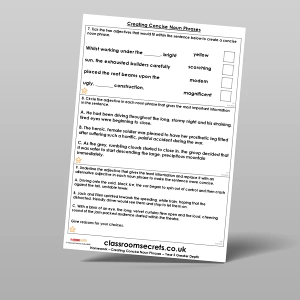 An image of the Creating Concise Noun Phrases Homework Resource