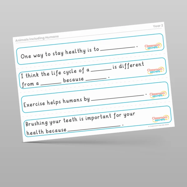 An image of the Animals including Humans Stem Sentences Resource