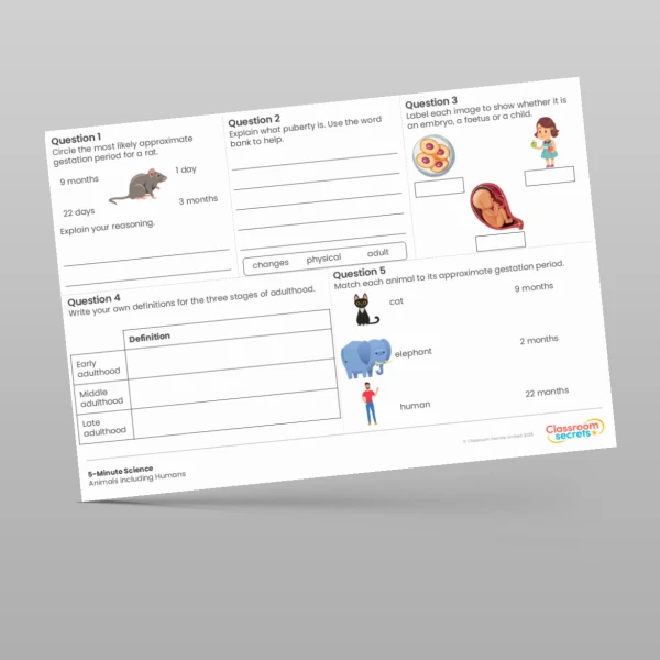 An image of the Animals including Humans 5-Minute Science Resource