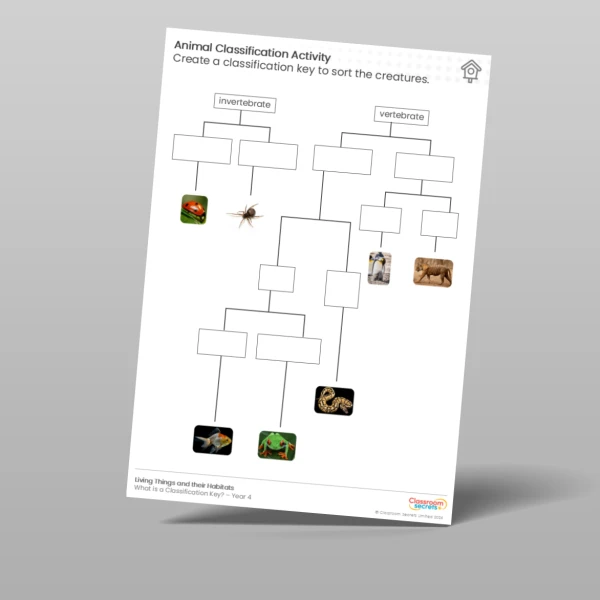 An image of the Lesson 4: Classifying Animals Worksheet Resource