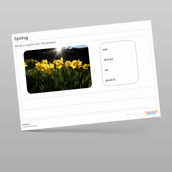 An image of the Spring Literacy Activities Resource