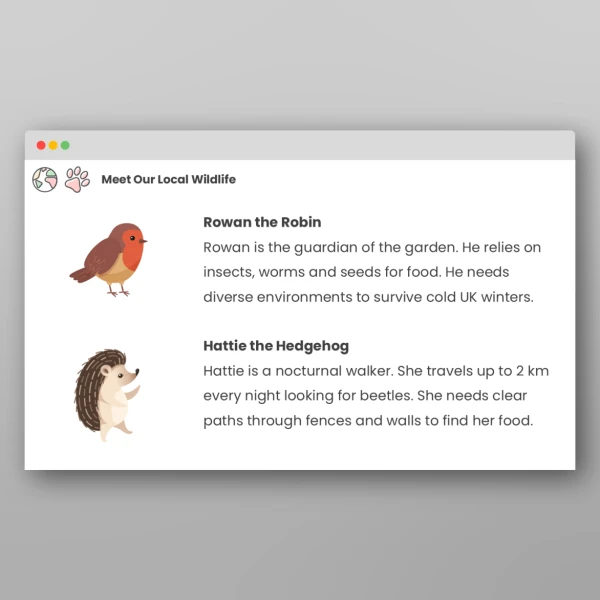 An image of the Rowan's Eco Mission: An Interactive Story Resource