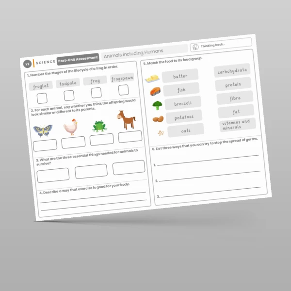 An image of the Animals including Humans Post-Unit Assessment Resource