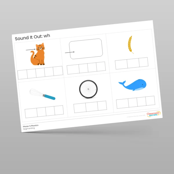 An image of the Phonics Sound It Out wh Resource