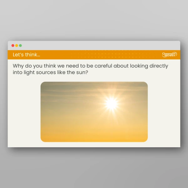 An image of the Lesson 2: How Do We See Objects? Resource