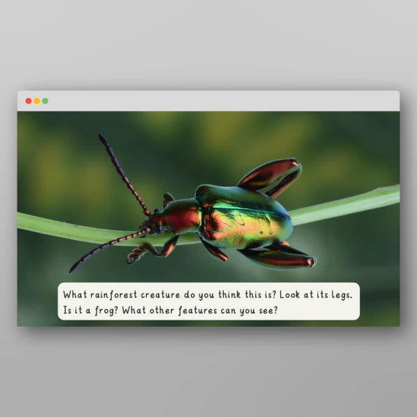 An image of the Amazing World - Rainforests Introductory PPT Resource