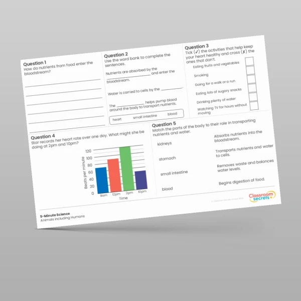 An image of the Animals including Humans 5-Minute Science Resource