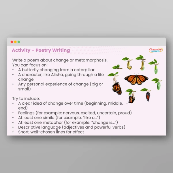 An image of the The Butterfly - A Summer Story Resource