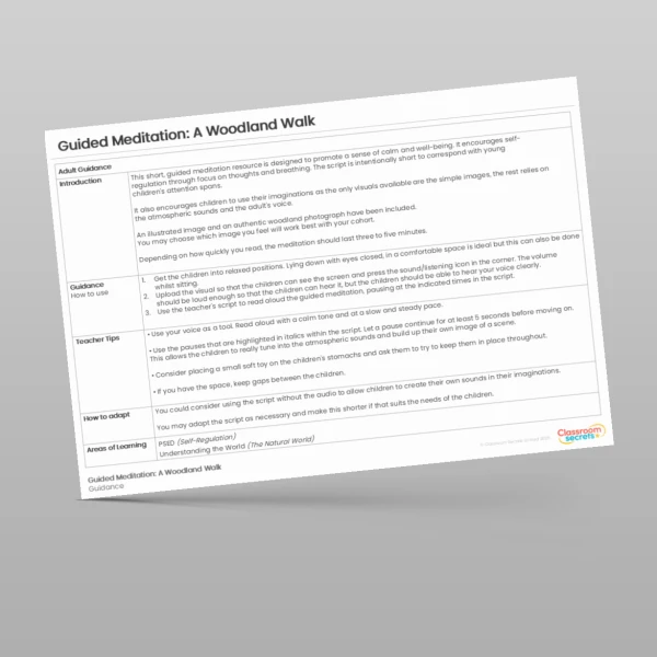 An image of the Guided Meditation: A Woodland Walk PPT Resource