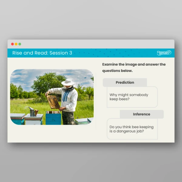 An image of the Rise and Read Bees Resource