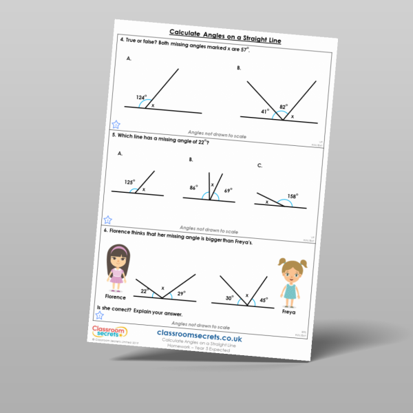 Year 5 Calculate Angles On A Straight Line Homework Resource ...