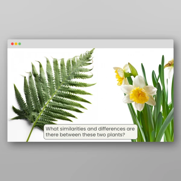 An image of the Lesson 1: How Do Plant Life Cycles Differ? Resource