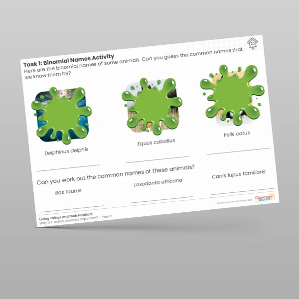 An image of the Lesson 6: Binomial Names Activity Worksheet Resource