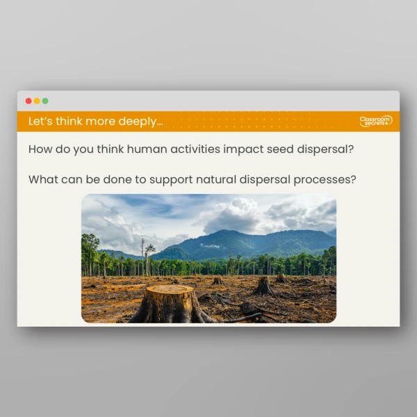 An image of the Lesson 4: What is Seed Dispersal? Resource