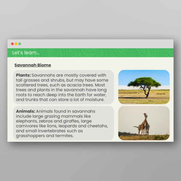 An image of the What are Biomes? Geography PPT Resource