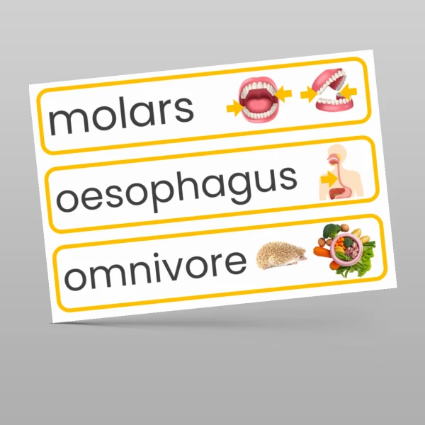 An image of the Animals Including Humans Display Pack Resource