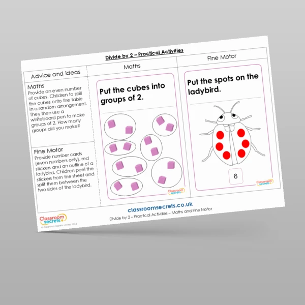 An image of the Divide by 2 Practical Activities Resource