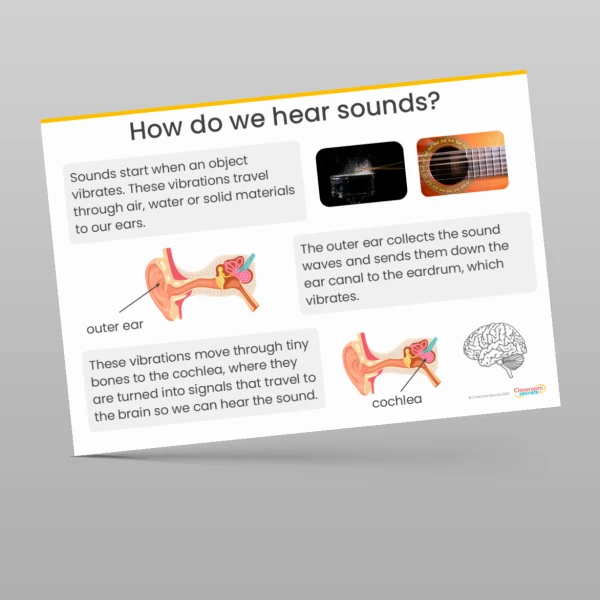 An image of the Sound Display Pack Resource