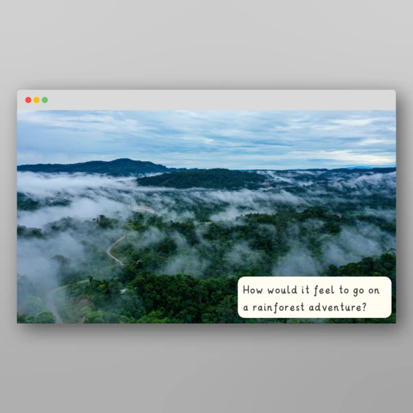 An image of the Amazing World - Rainforest I Wonder Discussion Prompts Resource