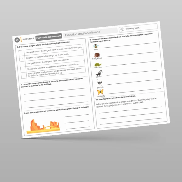 An image of the Evolution and Inheritance Post-Unit Assessment Resource